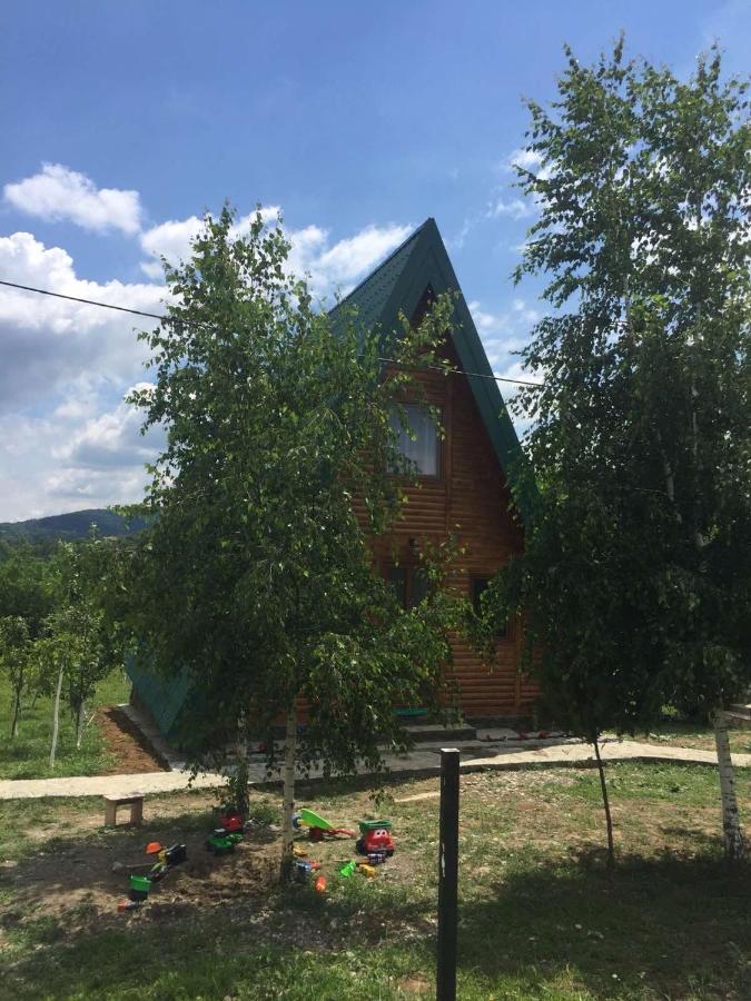 فيلا Banjska Brvnara Vrnjačka Banja المظهر الخارجي الصورة