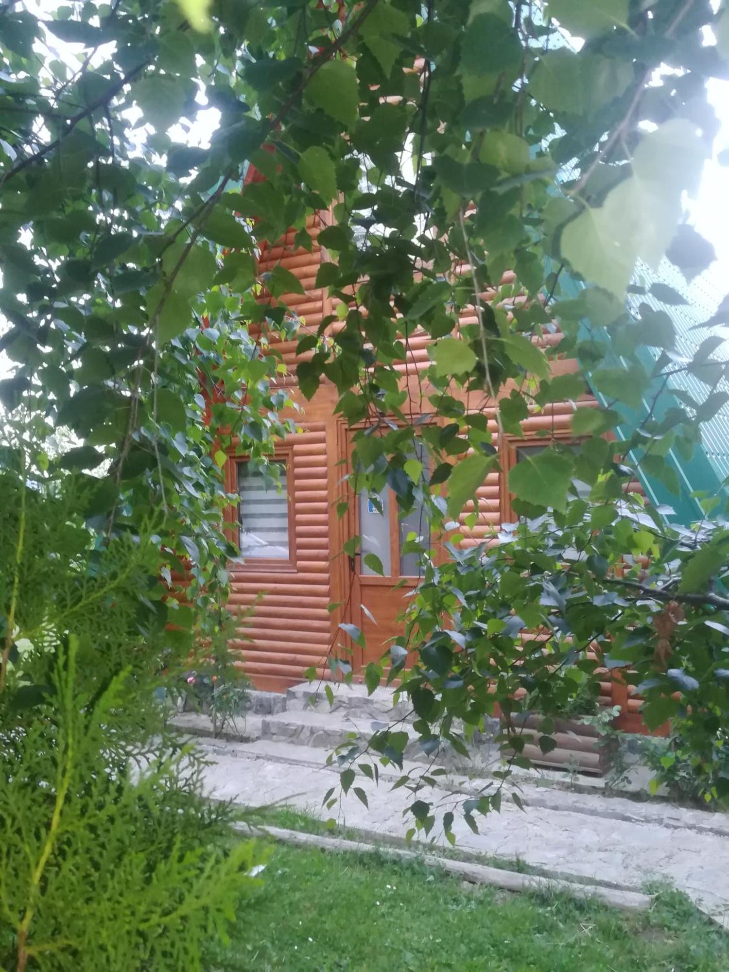 فيلا Banjska Brvnara Vrnjačka Banja المظهر الخارجي الصورة